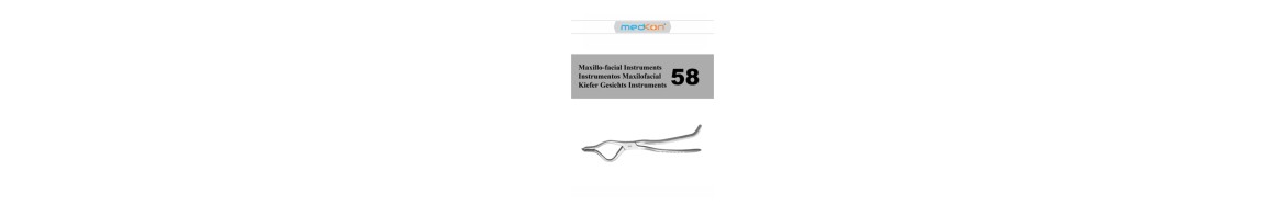 Maxillo Facial